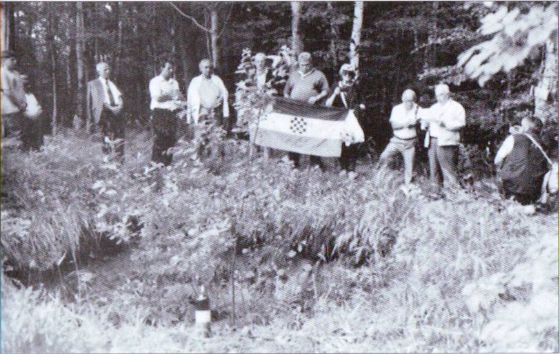 Zivicnjak_37_Ilovac_vrh_jama.jpg