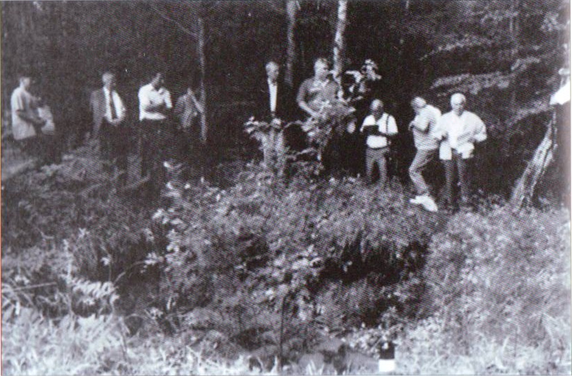 Zivicnjak_38_Ilovac_druga_jama.jpg