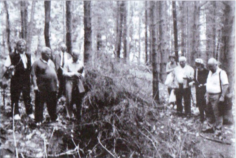 Zivicnjak_39_Ilovac_treca_jama.jpg