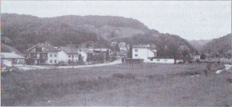 Zivicnjak_03_Djurmanec.jpg