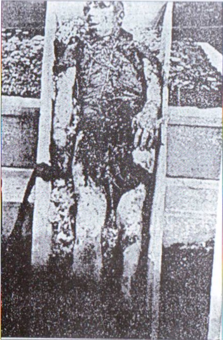 Zivicnjak_02_svecZigrovic.jpg