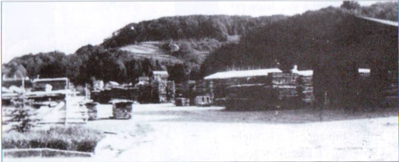 Zivicnjak_04_Djurmanec_pilana.jpg