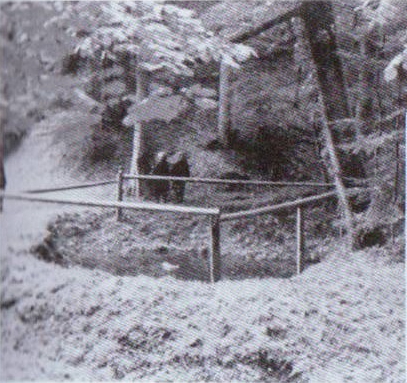 Zivicnjak_15_jama_IVd_svecenici_ustase.jpg