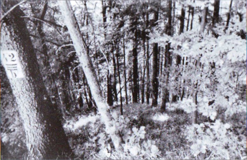 Zivicnjak_34_ssmreka_42b.jpg